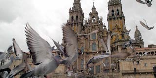 La loter�a podr�a poner su granito de arena en el Xacobeo 2010.